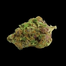 Red Banana Berry Cannabisblüte – gewachsen aus Feminisierte Hanfsamen von Growers Choice