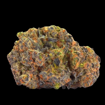 San Fernando Valley x The Purps Cannabisblüte – gewachsen aus Feminisierte Hanfsamen von Growers Choice