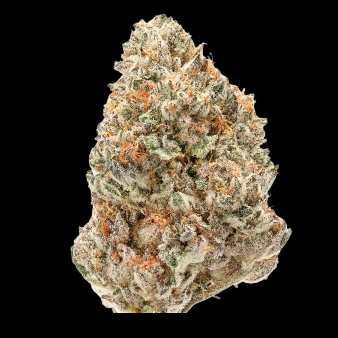Double xl Watermelon Weddingcake Auto – Growers Choice – Autoflowering