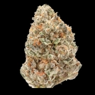 Double xl Watermelon Weddingcake Auto Cannabisblüte – gewachsen aus Automatic Hanfsamen von Growers Choice
