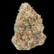 Double xl Watermelon Weddingcake Auto Cannabisblüte – gewachsen aus Automatic Hanfsamen von Growers Choice