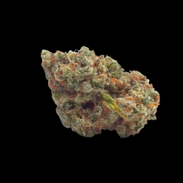 Tropicana Weddingcake Cannabisblüte – gewachsen aus Automatic Hanfsamen von Growers Choice