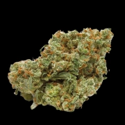 The Real Amnesia Cannabisblüte – gewachsen aus Automatic Hanfsamen von Growers Choice