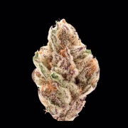 Sour Zkittlez Cannabisblüte – gewachsen aus Automatic Hanfsamen von Growers Choice