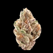 Sour Zkittlez Cannabisblüte – gewachsen aus Automatic Hanfsamen von Growers Choice