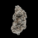 Tangerine Sherbet Cannabisblüte – gewachsen aus Feminisierte Hanfsamen von Growers Choice