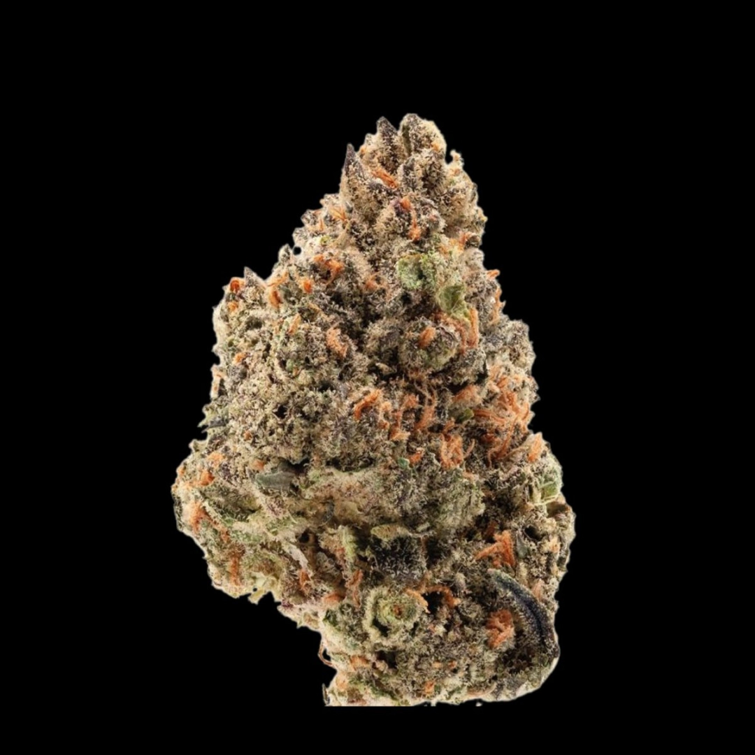 Tangie Punch – Growers Choice – Feminisiert