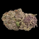 Ultra Violet GMO Cannabisblüte – gewachsen aus Feminisierte Hanfsamen von Growers Choice