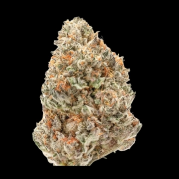 Watermelon Wedding Cake Cannabisblüte – gewachsen aus Feminisierte Hanfsamen von Growers Choice