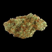 White Fire Gelato Cannabisblüte – gewachsen aus Feminisierte Hanfsamen von Growers Choice