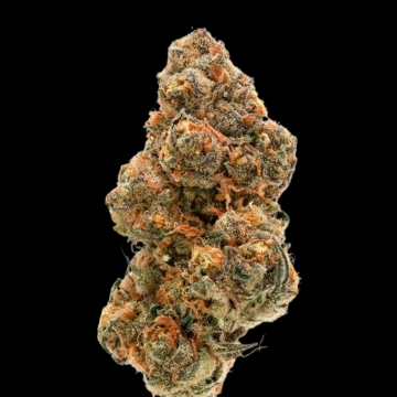 Double XL Weddingcake x Frosty Gelato Cannabisblüte – gewachsen aus Feminisierte Hanfsamen von Growers Choice