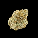 Forbidden Runtz Cannabisblüte – gewachsen aus Feminisierte Hanfsamen von Growers Choice