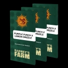 PURPLE PUNCH X LEMON DRIZZLE Cannabisblüte – gewachsen aus Feminisierte Hanfsamen von Barneys Farm