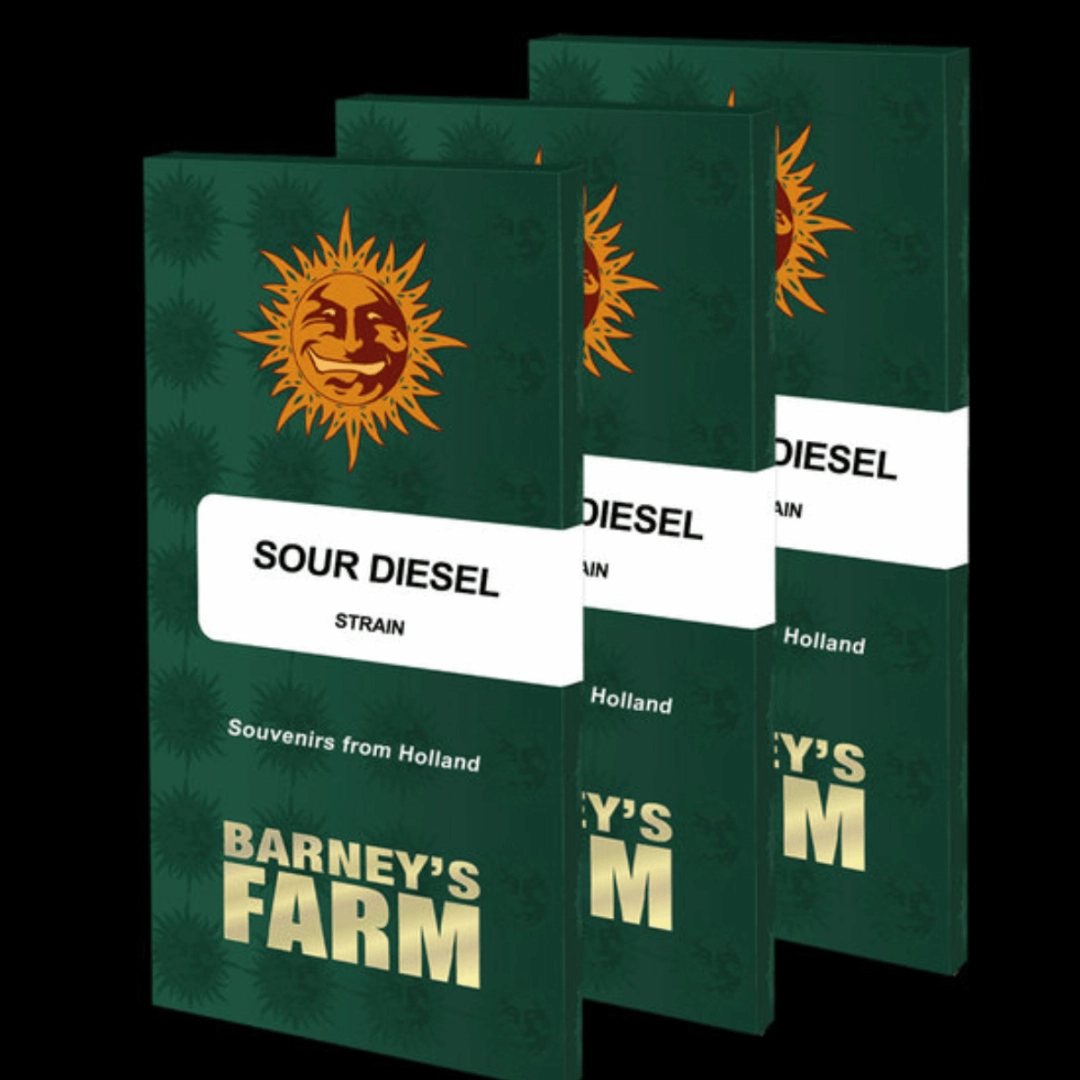 Sour Diesel – Barneys Farm – Feminisiert