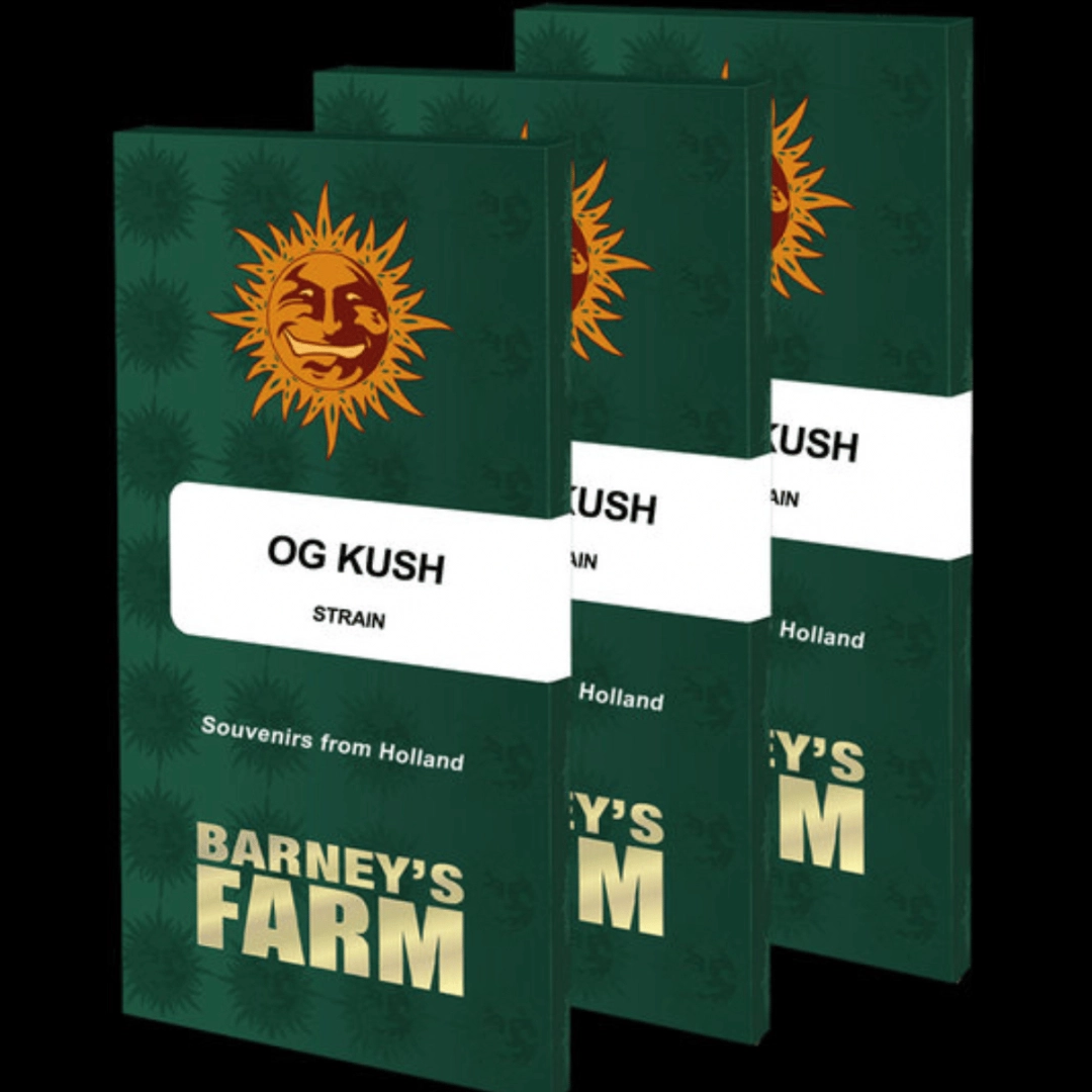 OG Kush – Barneys Farm – Feminisiert