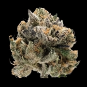 Double xl Tropical Cookies Cannabisblüte – gewachsen aus Automatic Hanfsamen von Growers Choice