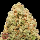 STRAWBERRY CAKE Cannabisblüte – gewachsen aus Feminisierte Hanfsamen von Heavyweight Seeds