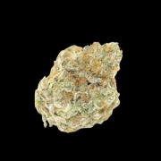 Permanent White Marker Cannabisblüte – gewachsen aus Feminisierte Hanfsamen von Growers Choice