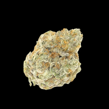 Permanent White Marker Cannabisblüte – gewachsen aus Feminisierte Hanfsamen von Growers Choice