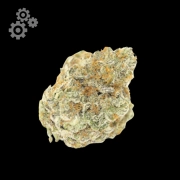 Permanent White Marker Cannabisblüte – gewachsen aus Automatic Hanfsamen von Growers Choice