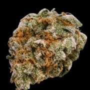 Mint Trufflez Cannabisblüte – gewachsen aus Feminisierte Hanfsamen von Terp Farmz Seeds