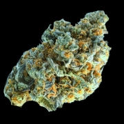 Minted Oreoz Cannabisblüte – gewachsen aus Feminisierte Hanfsamen von Terp Farmz Seeds