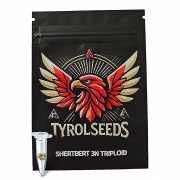 Sherbert 3n Hanfsamen von Tyrol Seeds – Symbolbild