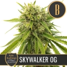 Kyle Kushmans Skywalker OG Feminized Seeds BlimBurn Seeds