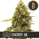 Kyle Kushmans Cherry AK Feminized Seeds BlimBurn Seeds