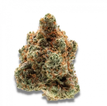 Blueberry Twist Cannabisblüte – gewachsen aus Feminisierte Hanfsamen von Advanced Genetics Seeds