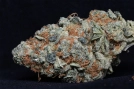 Cookie Dawg Cannabisblüte – gewachsen aus Feminisierte Hanfsamen von Bighead Seeds