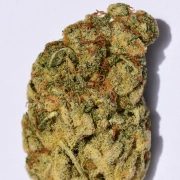 WEDDING CAKE Cannabisblüte – gewachsen aus Feminisierte Hanfsamen von Bighead Seeds