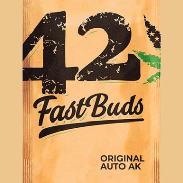 Original Auto AK Cannabisblüte – gewachsen aus Automatic Hanfsamen von FastBuds Seeds
