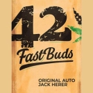 Original Auto Jack Herer Cannabisblüte – gewachsen aus Feminisierte Hanfsamen von FastBuds Seeds
