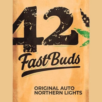 Original Auto Northern Lights Cannabisblüte – gewachsen aus Automatic Hanfsamen von FastBuds Seeds