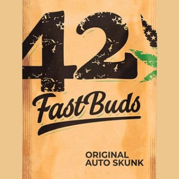 Original Auto Skunk Cannabisblüte – gewachsen aus Automatic Hanfsamen von FastBuds Seeds