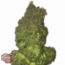 Auto Fruit Punch Cannabisblüte – gewachsen aus Automatic Hanfsamen von Heavyweight Seeds