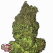 Auto Fruit Punch Cannabis Blüte - gewachsen aus Automatic Hanfsamen für den Anbau