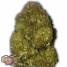 Auto Skunky Monkey Cannabisblüte – gewachsen aus Automatic Hanfsamen von Heavyweight Seeds