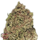 Dream Machine Cannabisblüte – gewachsen aus Feminisierte Hanfsamen von Heavyweight Seeds