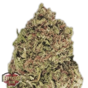 Dream Machine Cannabisblüte – gewachsen aus Feminisierte Hanfsamen von Heavyweight Seeds