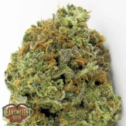 Wipeout Express Auto Cannabisblüte – gewachsen aus Automatic Hanfsamen von Heavyweight Seeds