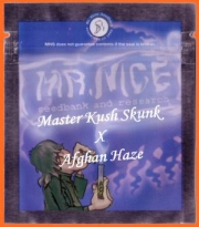 Master Kaze (Master Kush Skunk x Afghan Haze) Cannabisblüte – gewachsen aus Regulaere Hanfsamen von Mr Nice Seedbank
