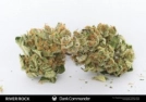 Dank Commander Cannabisblüte – gewachsen aus Regulaere Hanfsamen von Rare Dankness