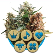 Mix CBD Cannabisblüte – gewachsen aus Feminisierte Hanfsamen von Royal Queen Seeds