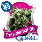 Presidential OG Cannabisblüte – gewachsen aus Feminisierte Hanfsamen von Royal Queen Seeds