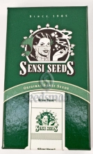 Silver Haze Cannabisblüte – gewachsen aus Regulaere Hanfsamen von Sensi Seeds
