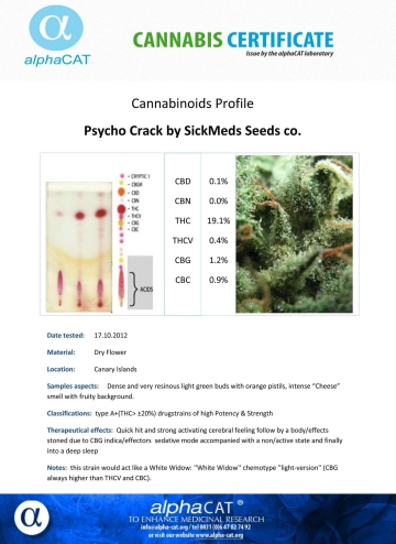 Psycho Crack Cannabisblüte – gewachsen aus Feminisierte Hanfsamen von SickMeds Seeds