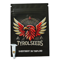 Sherbert 3n Triploid Hanfsamen