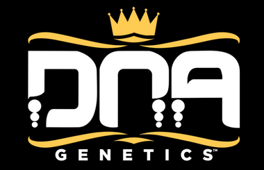 DNA Genetics Seeds